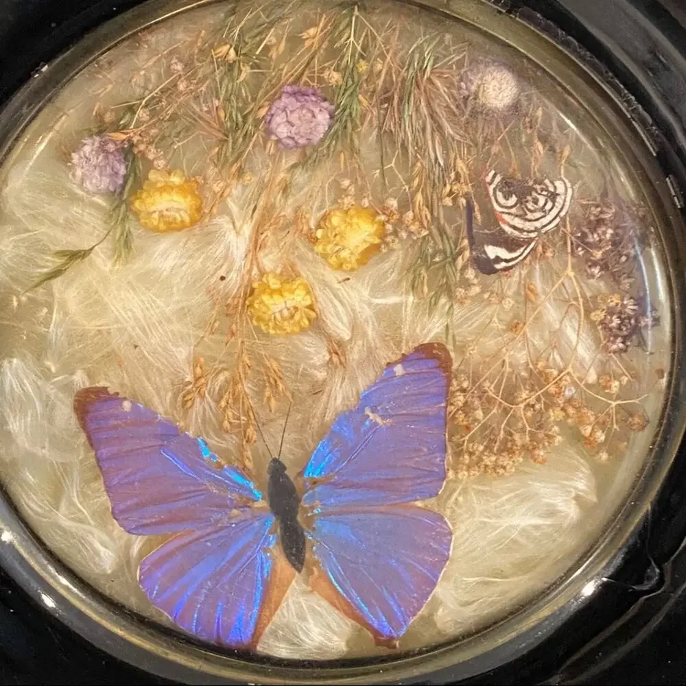 Vintage‎ boho naturals botanical butterfly decorative glass and stoneware plate